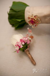 大城小爱婚庆礼仪服务 为您的特别日子定制专属浪漫